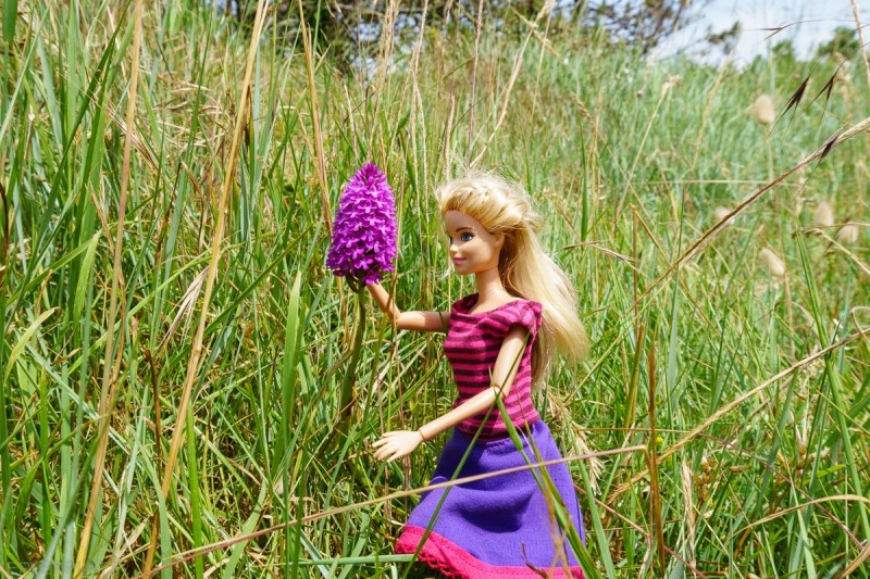 Barbie Emma hat eine Blume in ihrer Lieblingsfarbe entdeckt.